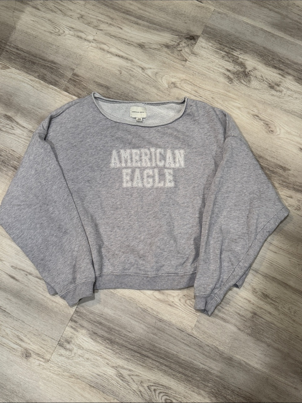 American Eagle Outfitters Light Gray Cropped Logo Sweatshirt